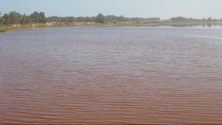 pink lake buggy tours